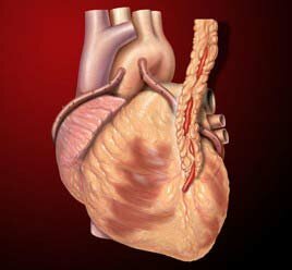 Koroner Arter Bypass Cerrahisi 